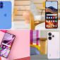 Tin công nghệ tối 8/10: OPPO Reno10 Pro giá rẻ, iPhone 16 Plus giảm mạnh, Redmi 13 siêu rẻ, POCO X6 Pro đại hạ giá 