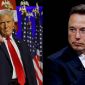 Tổng thống đắc cử Donald Trump phản hồi cực 'rắn' trước nhận định 'Elon Musk mới là Tổng thống Mỹ'