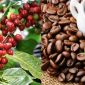 Giá cà phê hôm nay ngày 1/1: Giá cà phê đầu năm mới gây nhiều bất ngờ