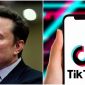 Tiktok sẽ được bán cho Elon Musk?