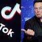 Tỷ phú Elon Musk tuyên bố 'không hứng thú' với việc mua lại Tik Tok nhưng lý do thấy... sai sai