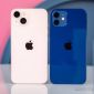 Quên iPhone SE 4 đi, iPhone 11, iPhone 12 và iPhone 13 đang rẻ như cho sau Tết trang bị vẫn cực ngon