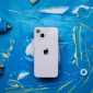 iPhone 13 rẻ tung trần đầu tháng 3, chỉ từ 10 triệu trang bị xịn sò như iPhone 16, áp chế Galaxy A55