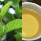 Học mẹo trên mạng, một bệnh nhân ‘suýt chết’ vì bị suy thận, xu hướng chữa bệnh 'online' đang lên ngôi?
