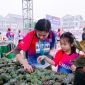 Cơ hội trải nghiệm hệ sinh thái toàn diện của Vingroup tại Ngày hội Xanh 2025