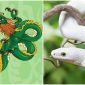 Sau Tết Thanh Minh, vận may sẽ đến với 4 con giáp, hạnh phúc tràn ngập khiến cuộc sống ‘nở hoa’