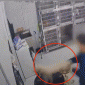 Nhân viên phòng khám thú y bóp cổ và ném mạnh chú chó con xuống sàn dẫn đến gãy 2 xương