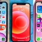 iPhone 11, iPhone 12 và iPhone 13 chỉ từ 8-11 triệu đồng, ngang với smartphone tầm trung hút khách