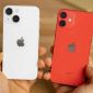 Đây là song mã iPhone 5G rẻ nhất Việt Nam, trang bị vẫn mạnh như hổ, không thua iPhone 16 nhiều