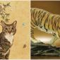 Từ ngày 13/5, vận mệnh đảo chiều, 3 con giáp sau đây sẽ có sự nghiệp thăng tiến, giàu có ập đến bất ngờ