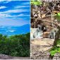 Thấy mùi hôi thối bất thường bốc lên, người dân tá hỏa khi phát hiện thi thể ở gần chân núi Dinh