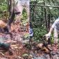 Chấn động danh tính của bộ xương người trong rừng ở Quảng Nam, là tội phạm công an truy nã đã lâu
