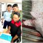 Thông tin nóng vụ Công ty C.P bị tố bán thịt heo mắc bệnh, loạt sai phạm được phát hiện sau kiểm tra