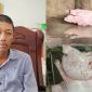 Tin nóng vụ Công ty C.P bị tố bán heo bệnh, người tố cáo tiết lộ còn bí mật sốc chưa công bố