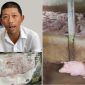 Vị cán bộ bí ẩn trong vụ C.P. bị tố bán heo bệnh, Thứ trưởng Bộ NN-MT trực tiếp yêu cầu điều tra
