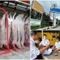 Cơ quan chức năng tuyên bố nóng về hình ảnh heo đầy đốm lạ của ‘người tố C.P Việt Nam’ tung thêm gây chấn động