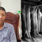 Liễu Quý Ngân hé lộ sự kinh khủng sau bức ảnh mới và danh tính người ‘tuồn’ bằng chứng ra ngoài