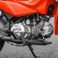 ‘Vua xe số’ rẻ nhất của Honda được dân tình săn đón vì thiết kế độc đáo ăn đứt Future và Wave Alpha