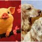 Từ ngày 14/6, 4 con giáp hạnh phúc nhân đôi, công việc thăng tiến, tình yêu thăng hoa