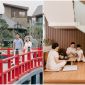 The Komorebi - Chạm vào triết lý sống trường thọ của người Nhật