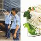 Hà Nội: Tiêu hủy hơn 2,5 tấn nấm kim châm quá hạn sử dụng, phạt công ty vi phạm 70 triệu đồng