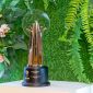 Xanh SM được vinh danh giải thưởng Lãnh đạo Xanh châu Á năm 2025