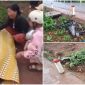 Xót xa 2 cháu bé tử vong do tai nạn trong lúc trời mưa lớn: Cháu nhỏ chỉ mới 13 tuổi, nhà rất nghèo