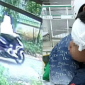 Hình ảnh người phụ nữ tông bé trai 5 tuổi rồi bỏ mặc ở hiện trường, phóng xe bỏ trốn, công an đang truy tìm