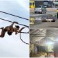 Xót xa hoàn cảnh khốn khó của người phụ nữ tử vong khi bò trên dây điện hạ thế: Bị trầm cảm sau sinh