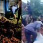 Sự thật vụ tranh nhau 'hôi của' 4 tấn vải khi xe lao xuống vực, tài xế tiết lộ cái kết 'ấm lòng'