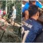 Chấn động Indonesia: Phát hiện thi thể người đàn ông trong bụng con trăn dài 9m sau khi cho gà ăn