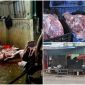 Tiểu thương chợ Phùng Khoang tiết lộ gây sốc vụ thịt nhiễm dịch tả: Cả chợ chả ai dám ăn thịt ở đó!