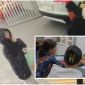 TP.HCM: Nữ sinh viên năm 3 bị lừa 800 triệu đồng, bắt vào khách sạn để chứng minh trong sạch