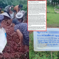 Thông tin mới vụ xe vải lật ở Thanh Oai: Người dân tung bằng chứng tố chủ xe nói sai sự thật, quyết đòi lại danh dự
