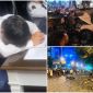 Diễn biến mới nhất vụ ô tô đâm liên hoàn ở Dương Nội, Hà Nội: Tạm giữ nam giảng viên gây tai nạn 