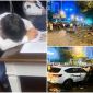 Vụ ô tô đâm liên hoàn ở Hà Nội: Nam giảng viên gây tai nạn khóc nức nở hối lỗi khi đã 'tỉnh rượu' 