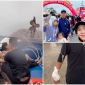 Vụ lật tàu du lịch ở Quảng Ninh: Xót xa gia đình 4 người cứu được vợ, chồng và 2 con vẫn mất tích