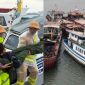 Vụ lật tàu Vịnh Hạ Long: Số tiền bảo hiểm lên tới hàng tỷ đồng, nạn nhân được đền bù ra sao?