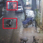 Thót tim cảnh chủ quán phát hiện trộm phá khóa xe của khách, lao vào tung cước và truy đuổi tận cùng