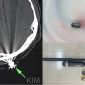 Lời khai của người bắn súng khiến người phụ nữ làm vườn trúng đạn, hé lộ mục đích vác súng ra đường