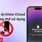Mua iPhone cũ cần kiểm tra những gì? 