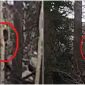 Video gây sốc ghi lại cảnh quái vật ‘Bigfoot’ chạy trong rừng giữa ban ngày khiến người đàn ông hoảng hốt
