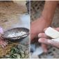 Ngôi làng ăn đất ‘độc nhất vô nhị’ của Việt Nam, đặc sản không thể thiếu trong cuộc sống thường nhật