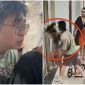 Diễn biến mới nhất vụ người phụ nữ bị đánh đập dã man giữa sảnh chung cư ở Hà Nội: Vẫn đau và lo sợ