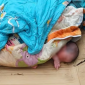 Phát hiện bé gái sơ sinh bị bỏ rơi trong thùng giấy ven đường và hành trình giành lại sự sống 