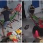 Nóng: Em gái trong vụ bị anh trai đánh thừa nhận 1 điều gây 'sốc', tiết lộ lý do bị anh trai phang ghế vào đầu dã man