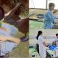 Phó bí thư xã lùi ô tô tông 11 người thương vong sẽ bị xử lý ra sao? Sốc trước kết quả nồng độ cồn