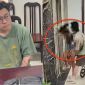 Vợ Đặng Chí Thành gọi chồng xuống đánh người, vô cảm đứng nhìn, có phải là đồng phạm và có bị xử lý?