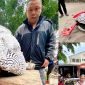 Gà lôi trắng quý hiếm từng bày bán công khai ở Nghệ An: Sự thật hé lộ từ phiên chợ vùng cao