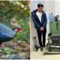 Lĩnh án 6 năm tù vì nuôi 13 con gà lôi trắng: ‘Vi phạm 1 con cũng bị truy tố’, cái giá đắt của sự thiếu hiểu biết
